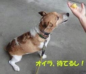 moblog_63bd7e45.jpg
