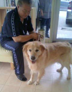 moblog_640d2762.jpg