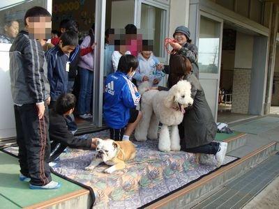 moblog_6aa184c9.jpg
