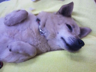 moblog_6b777507.jpg