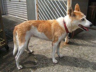 moblog_6d1d7a37.jpg