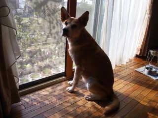 moblog_7075e6de.jpg