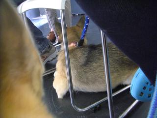 moblog_711c3b2c.jpg