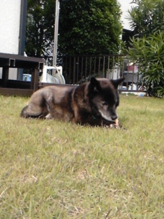 moblog_71b88245.jpg