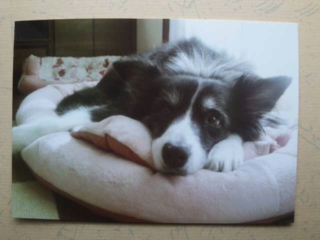 moblog_76c0a7a8.jpg