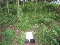 moblog_76d93591.jpg