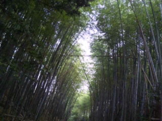 moblog_7836b128.jpg