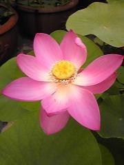 moblog_789ee54c.jpg