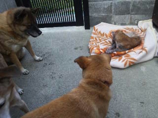 moblog_7abd45f9.jpg