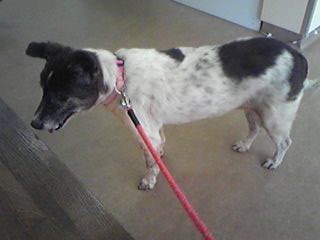 moblog_7e84f5b6.jpg