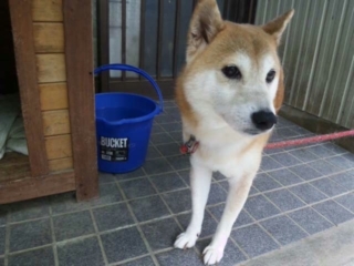 moblog_8075cdce.jpg