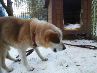 moblog_80c754f0.jpg