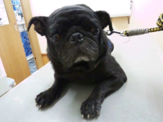 moblog_81b1d277.jpg