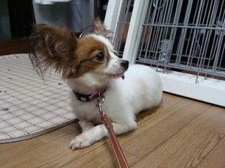 moblog_82e38ae6.jpg