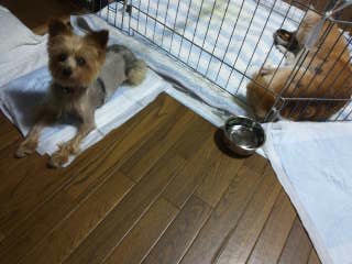 moblog_839b97f6.jpg
