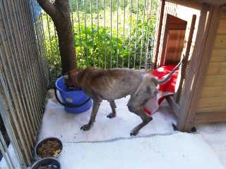 moblog_84383be4.jpg