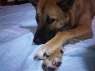 moblog_8477e8b5.jpg