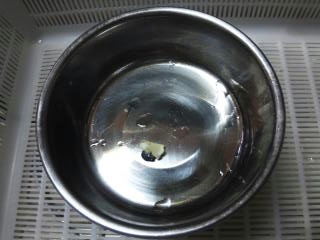 moblog_85d29e32.jpg