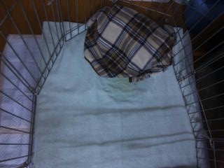 moblog_86a89824.jpg