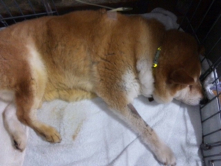 moblog_88734e02.jpg