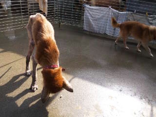 moblog_8a7f1831.jpg
