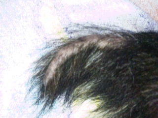 moblog_8b0bb674.jpg