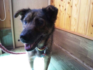 moblog_8ba65117.jpg
