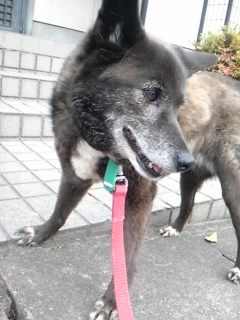 moblog_8c89bc4f.jpg