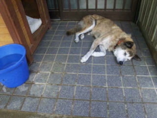 moblog_8f00c5a1.jpg