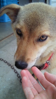 moblog_90a7d76b.jpg