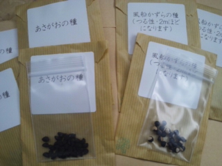 moblog_93504455.jpg