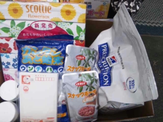 moblog_93b8ea21.jpg