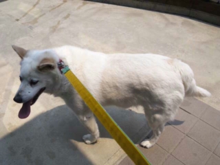 moblog_94520113.jpg