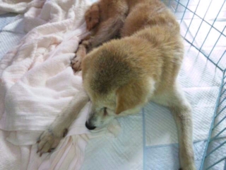 moblog_95317494.jpg