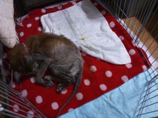 moblog_961be626.jpg