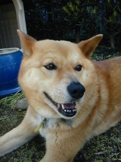 moblog_9657648f.jpg