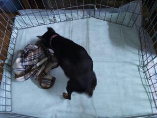 moblog_96577859.jpg