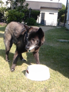 moblog_97056304.jpg