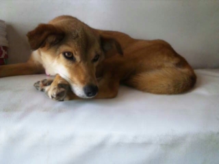 moblog_9ce07091.jpg