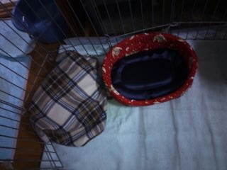 moblog_9ea30688.jpg