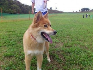 moblog_9fa79c90.jpg