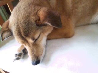 moblog_9fe2d5b3.jpg