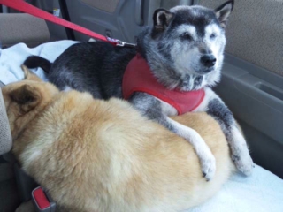 moblog_a0534e7f.jpg