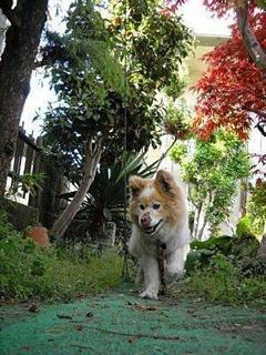moblog_a2d53e17.jpg