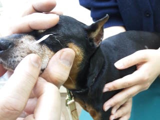 moblog_a4e05b53.jpg