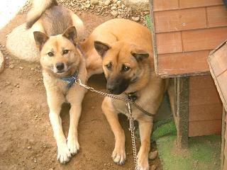 moblog_a6f34db9.jpg