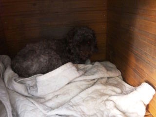 moblog_a7e6f313.jpg