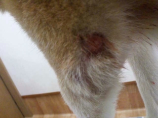 moblog_a80077a8.jpg