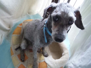 moblog_ac67cf43.jpg