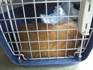 moblog_ad2e7185.jpg